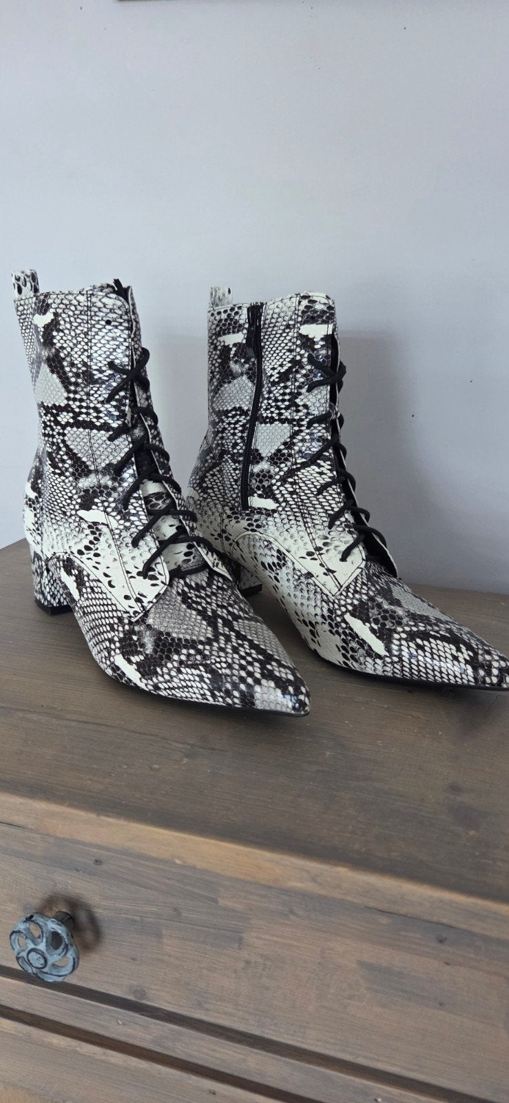 Trendy Slangenprint Enkellaarsjes met Veters, Kleding | Dames, Schoenen, Zwart, Lage of Enkellaarzen, Ophalen of Verzenden, Onbekend