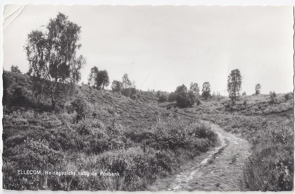 Ellecom Heidegezicht Oude Gelopen  Ansichtkaart ( 631 ), Ophalen of Verzenden, 1960 tot 1980, Gelopen