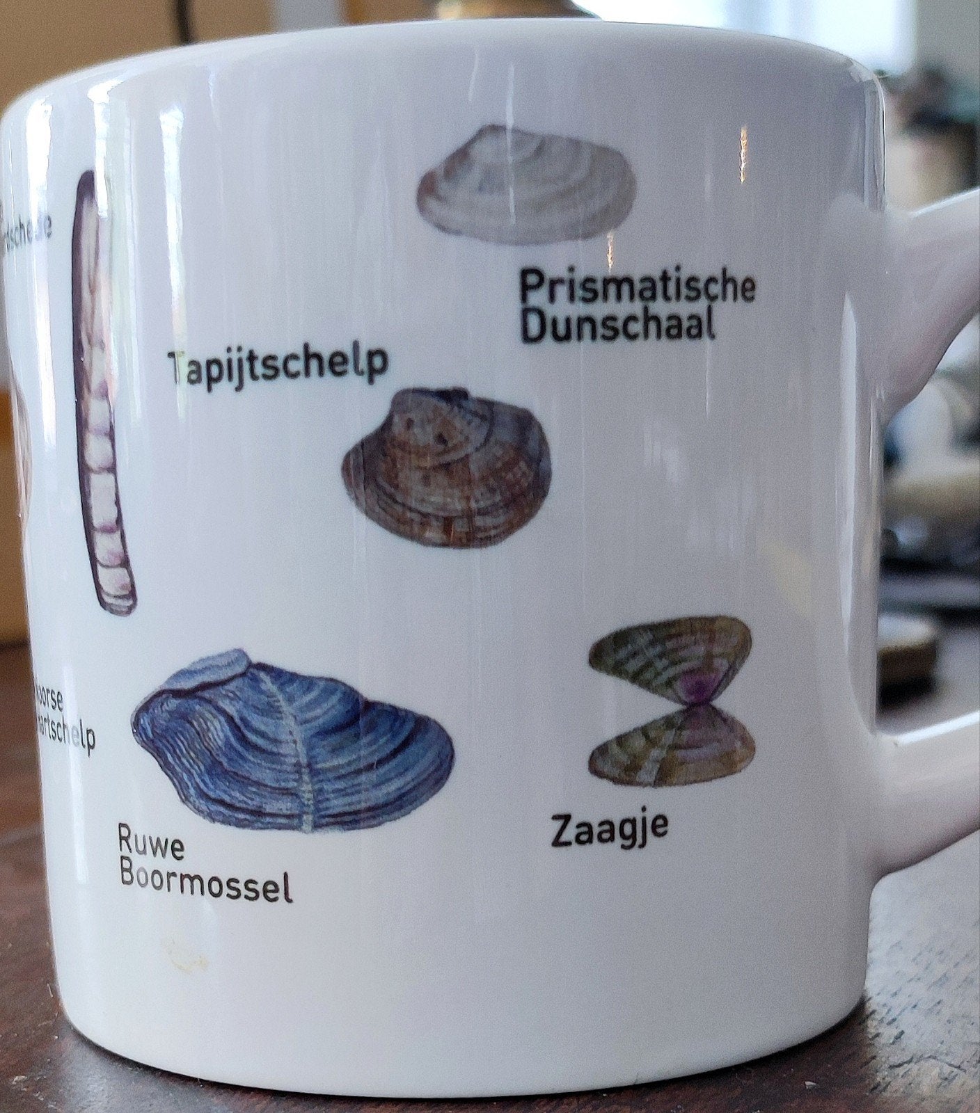 Mok met schelpen en hun namen, leuk voor kinderen ook!, Ophalen, Keramiek, Overige stijlen, Kop(pen) en/of Schotel(s)