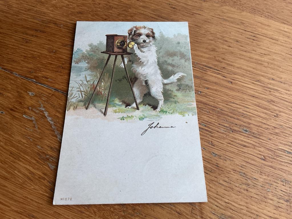 H85 hond fototoestel, Ophalen of Verzenden, Overige thema's