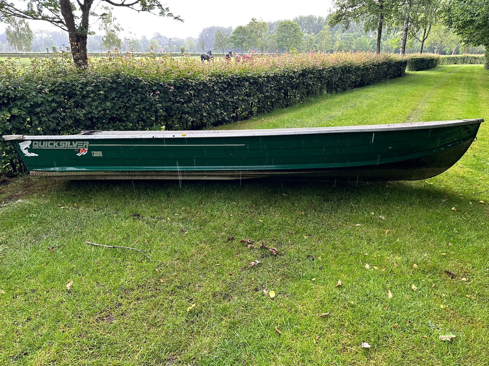 Quicksilver 410, Ophalen, Gebruikt, Motor en Techniek