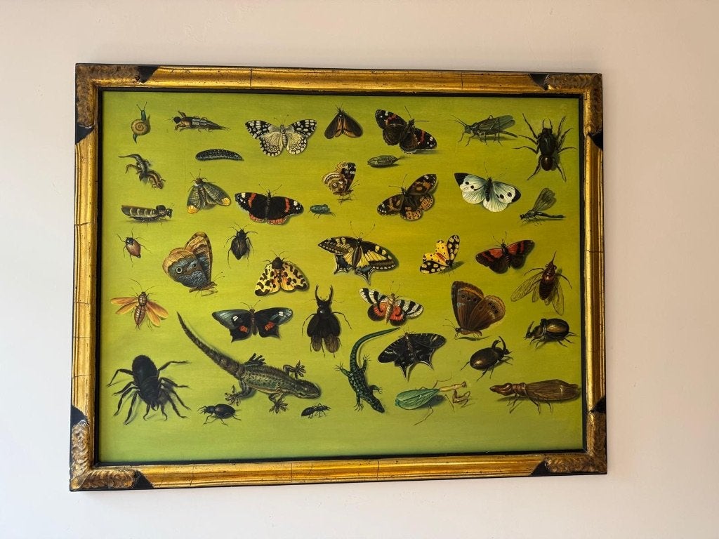 Bijzonder en groot vintage schilderij vlinders en insecten, Antiek en Kunst, Kunst | Schilderijen | Klassiek, Ophalen, Doek, Dieren
