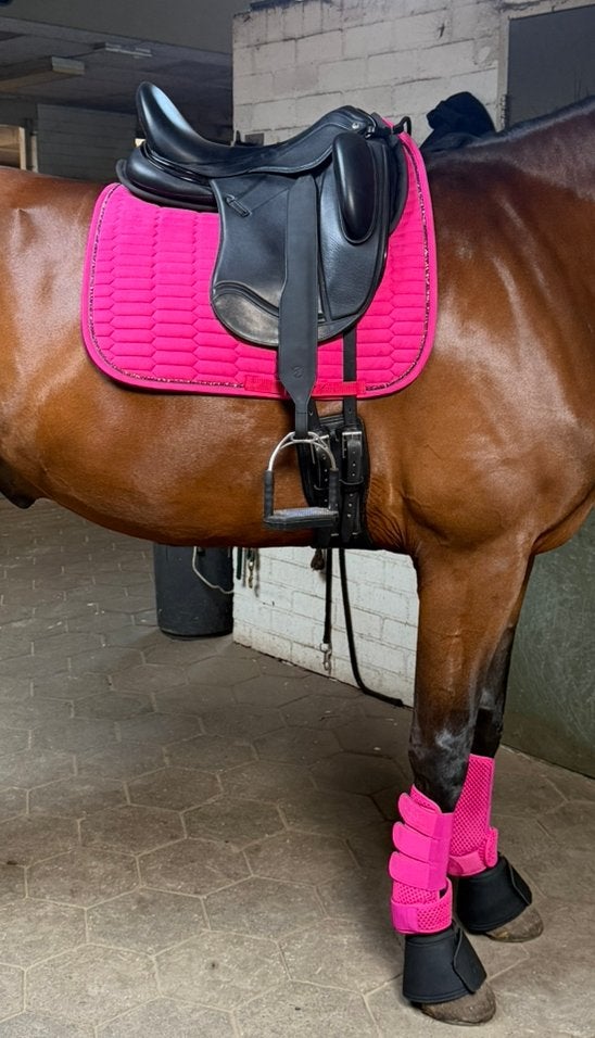anky setje roze, Dieren en Toebehoren, Ophalen of Verzenden, Zo goed als nieuw