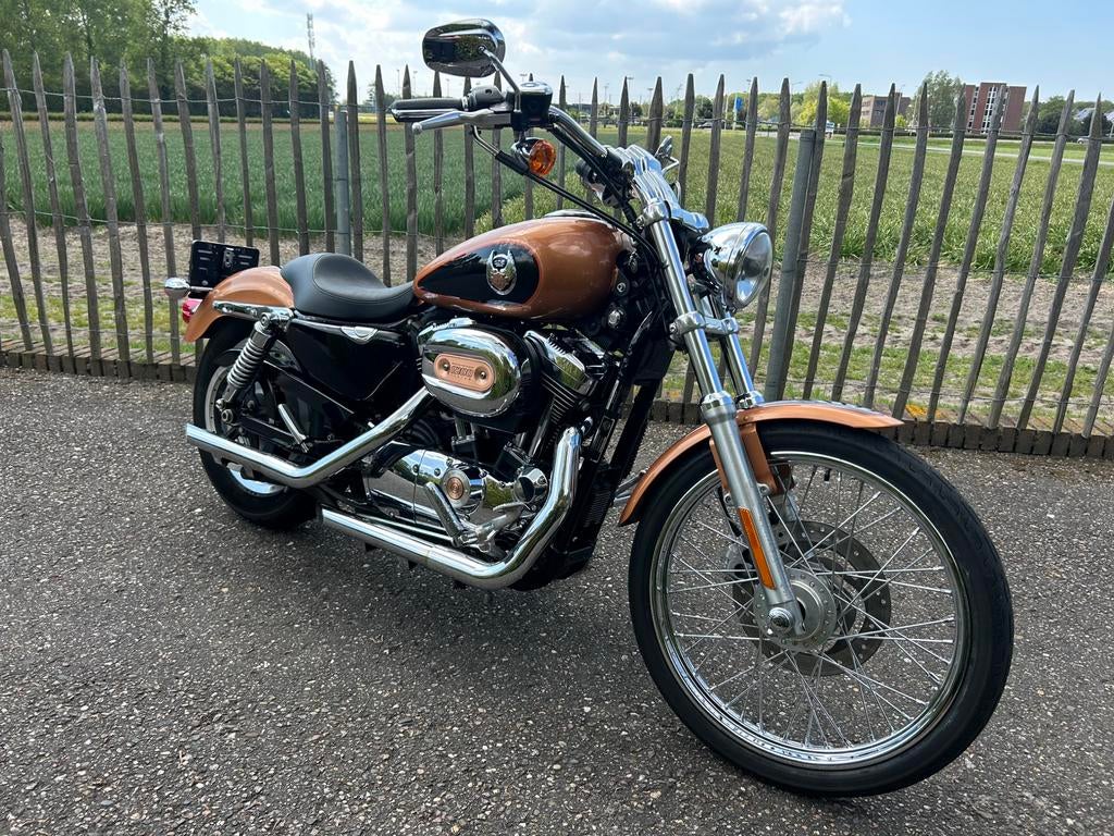 Harley Davidson Sportster XL1200 Custom Anniversary, Motoren, Motoren | Harley-Davidson, 2 cilinders, Occasion, 1202 cc, Particulier