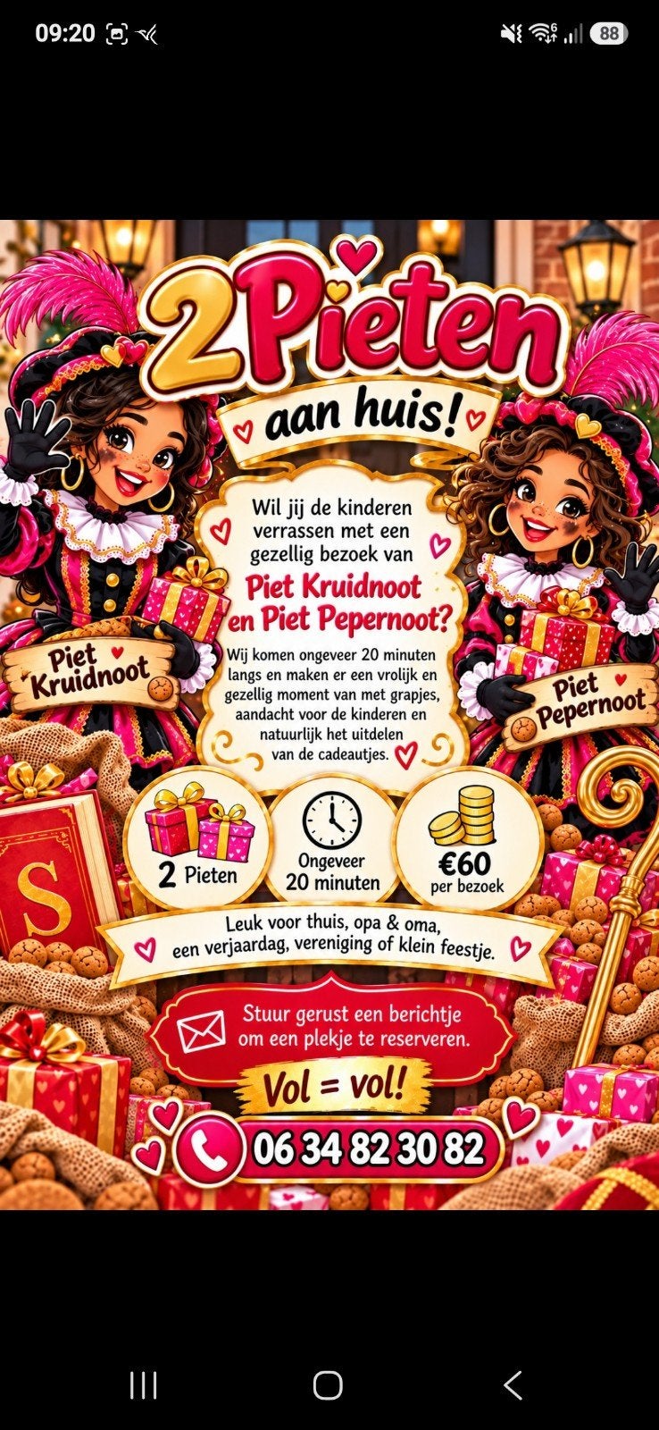 Piet bezoek, 33 - 40 uur, Overige niveaus, Vanaf 10 jaar, Overige vormen