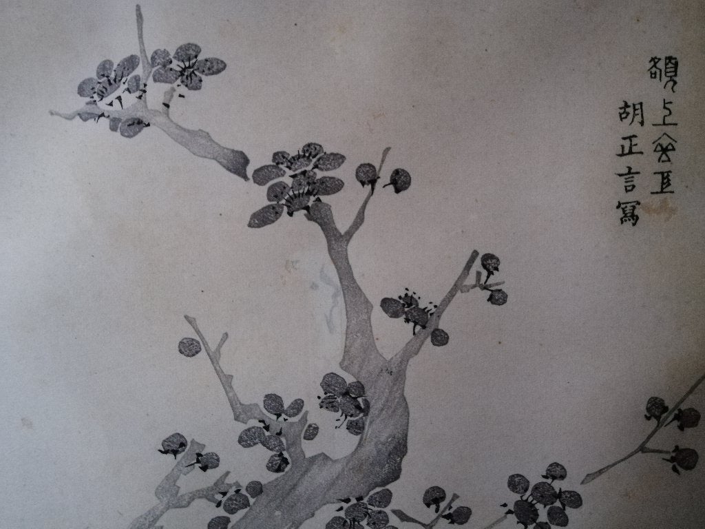 Japanse houtsnede bloesemtak, 1800 - 1899, Ophalen of Verzenden, Flora en Fauna, Houtsnede