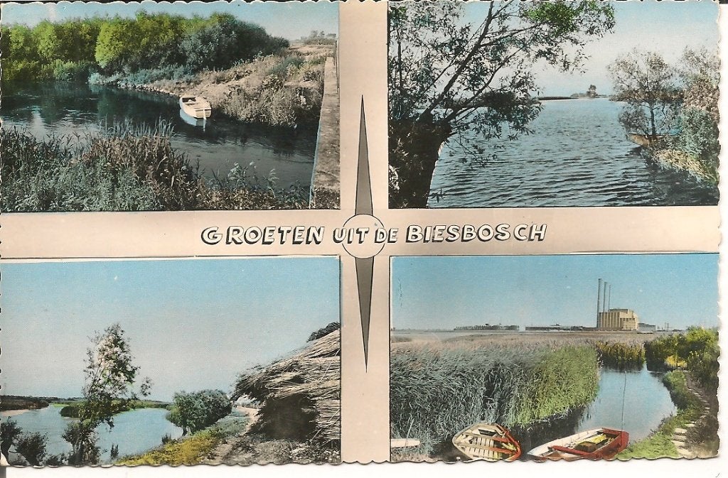 Oude Ansichtkaart: Groeten uit de Biesbosch, Ophalen of Verzenden, 1960 tot 1980, Gelopen, Noord-Brabant