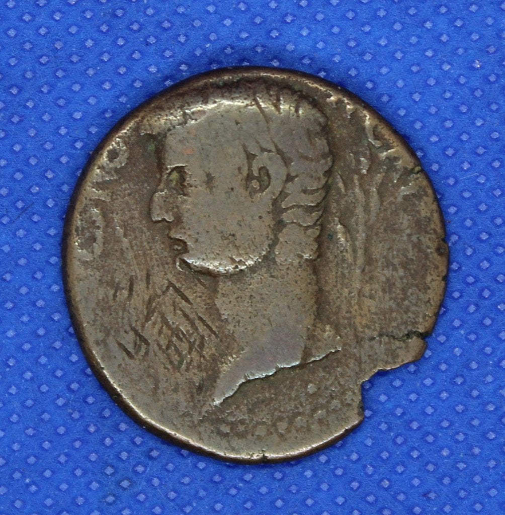 Tiberius 14-37 AD Provinciaal Syrtica, Ophalen of Verzenden, Overige landen, Losse munt