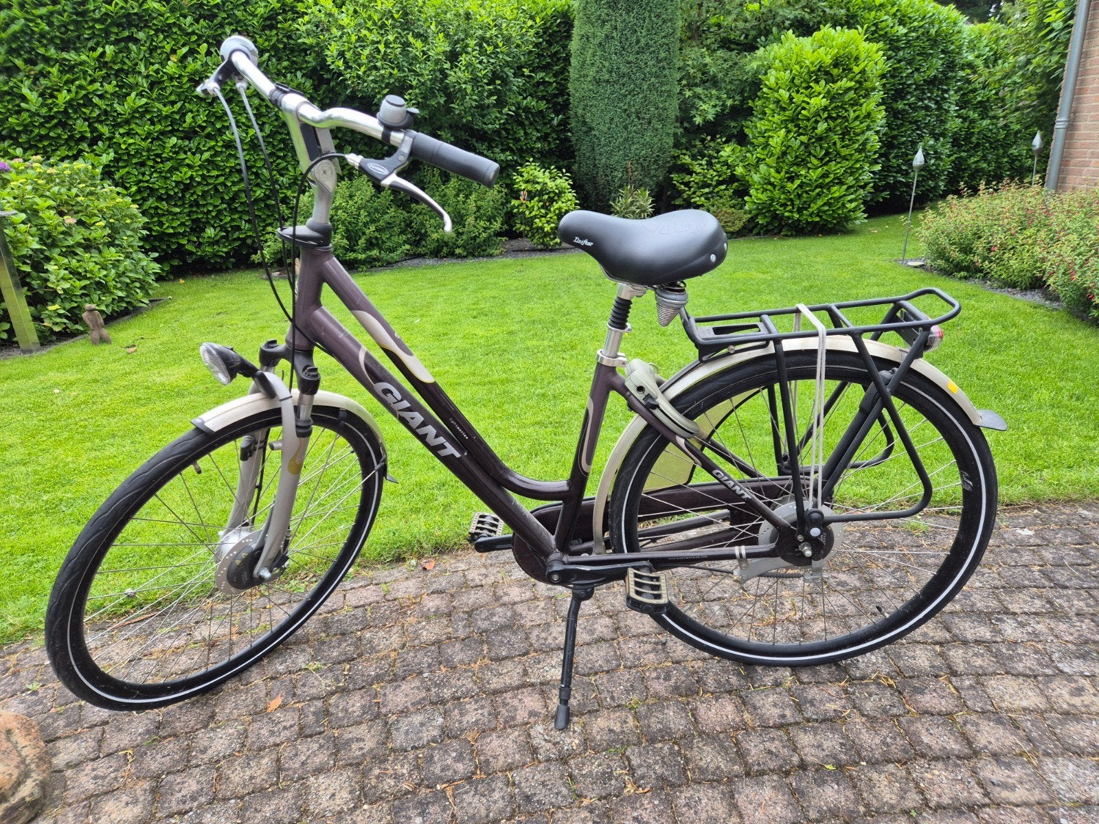 Giant Energy DX Damesfiets, Ophalen, Gebruikt, Velgrem, Versnellingen
