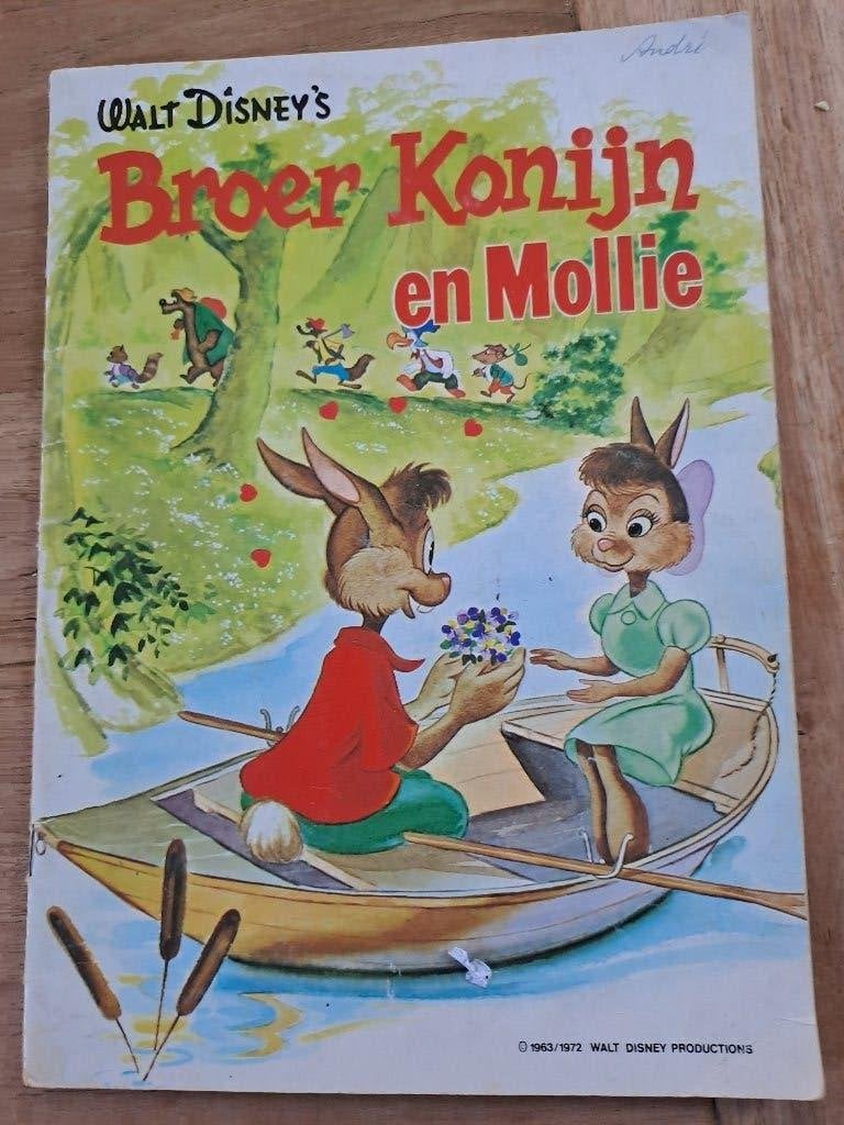 BROER KONIJN EN MOLLY. WALT DISNEY. 1963/1972. PRODUCTIONS, Gelezen, Ophalen of Verzenden, Walt Disney, Eén stripboek