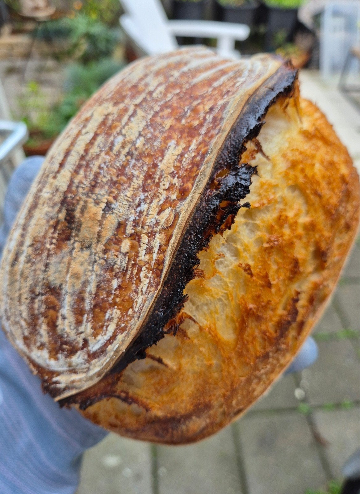 Ambachtelijke zuurdesembrood, Ophalen