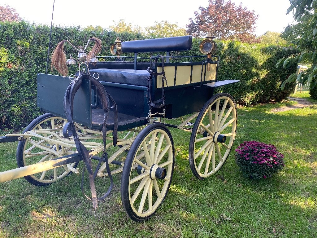 open/landelijke wagonette, Overige typen, Pony