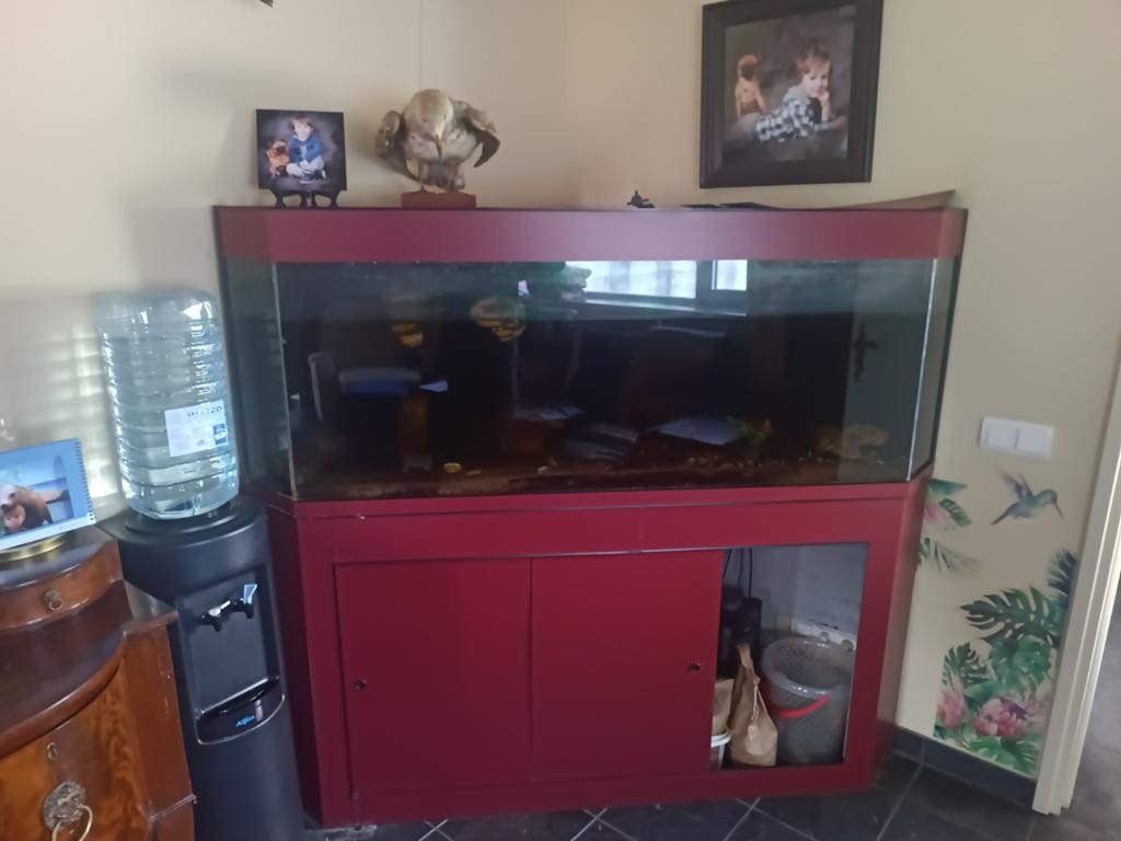 Gratis Aquarium groot design, Dieren en Toebehoren, Ophalen of Verzenden