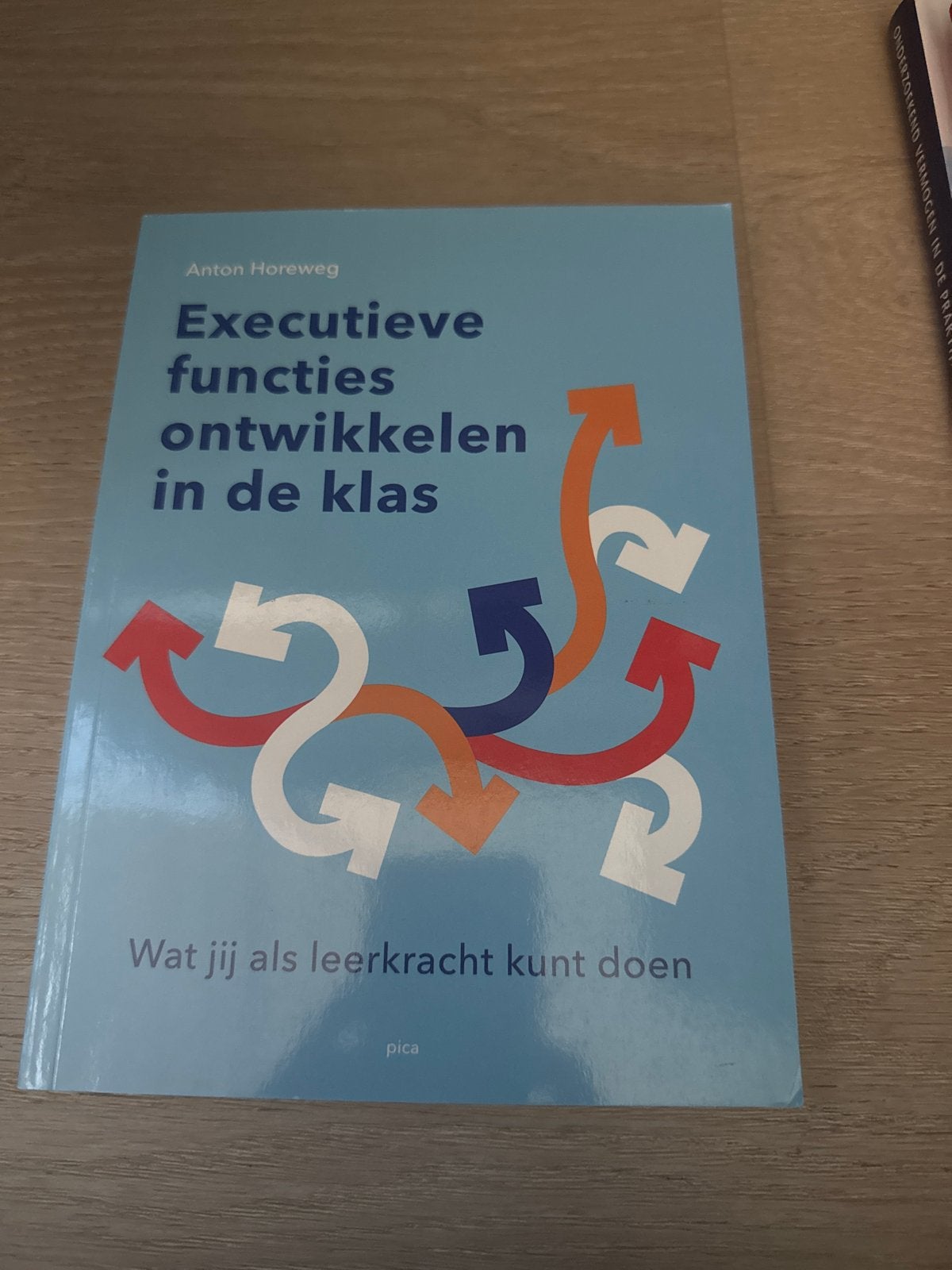 Executieve functies ontwikkelen in de klas - Anton Horeweg, Boeken, Ophalen of Verzenden, Gamma, Zo goed als nieuw, Overige niveaus