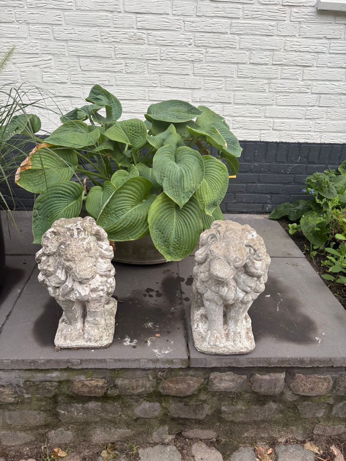 Beelden leeuw links en rechts, Ophalen, Zo goed als nieuw