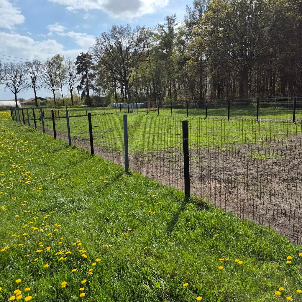 degelijke omheining, afrastering tuingaas en ijzeren palen, Dieren en Toebehoren, Weidegang
