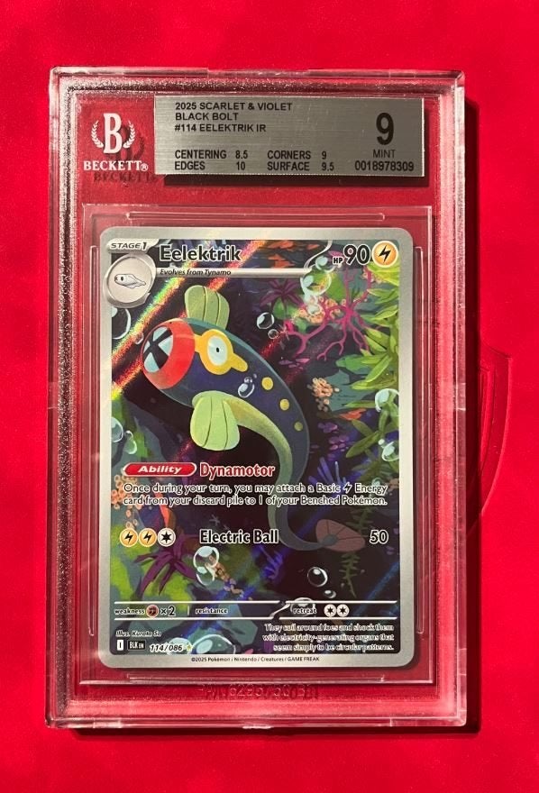 Pokemon Eelektrik (BLK 114) Beckett 9, Verzenden, Zo goed als nieuw