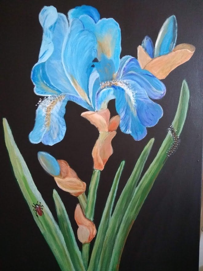 Schilderij Iris 50 x 70, Ophalen, 50 – 75, Oorspronkelijke maker, Nieuw