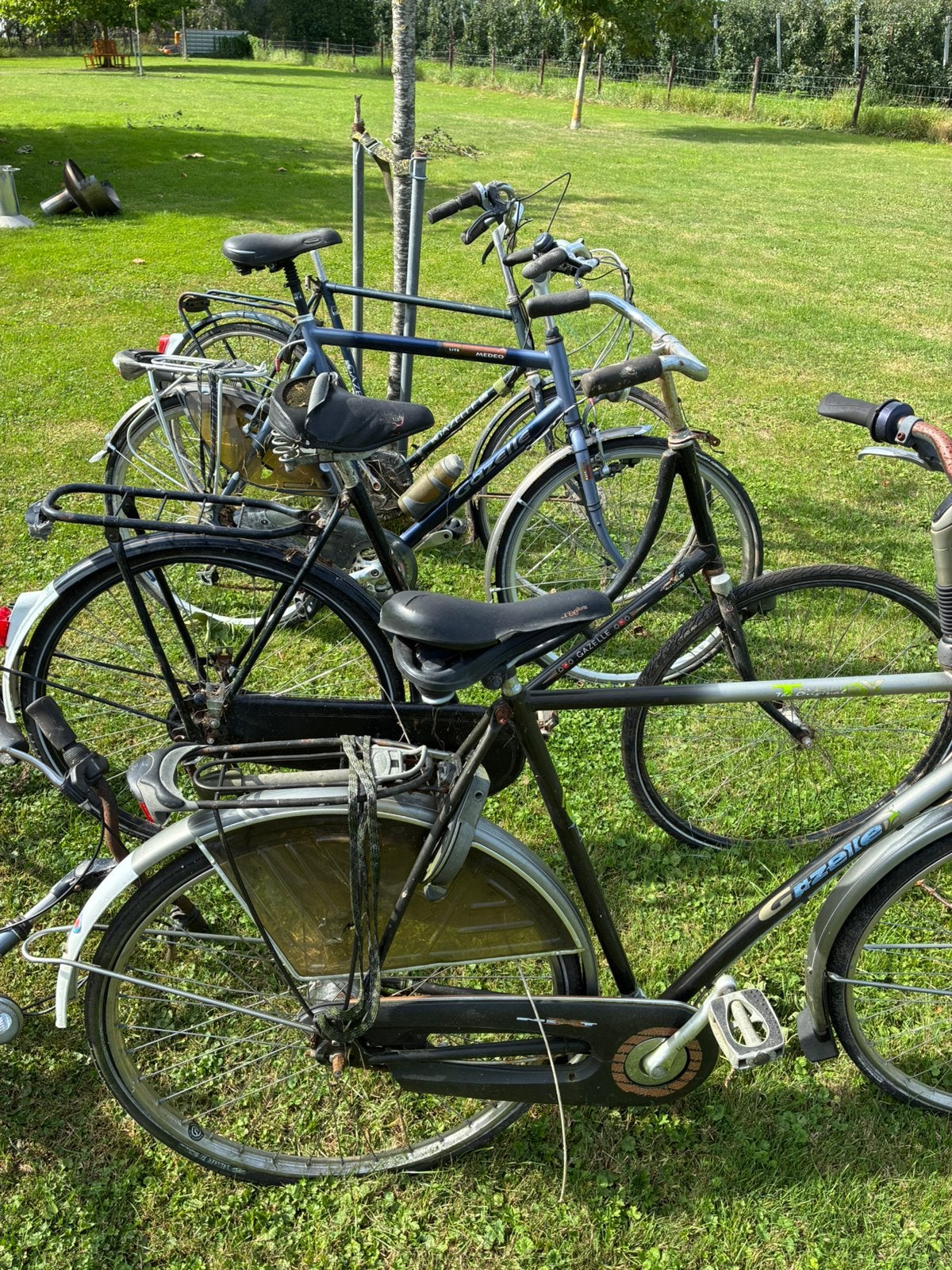 Grote partij merkfietsen, Fietsen en Brommers, Ophalen, Gebruikt