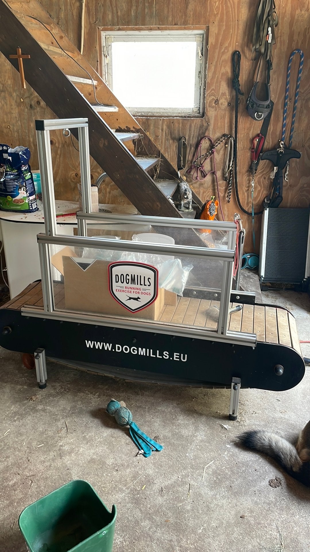 Dogmill loopband, Dieren en Toebehoren, Honden-accessoires, Gebruikt, Ophalen