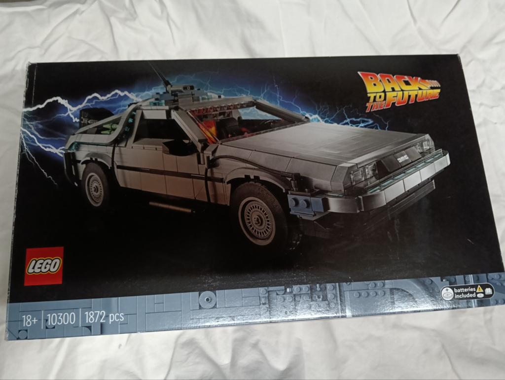 Lego 10300 Back to the Future Tijdmachine, Kinderen en Baby's, Speelgoed | Duplo en Lego, Ophalen, Lego, Zo goed als nieuw, Icons