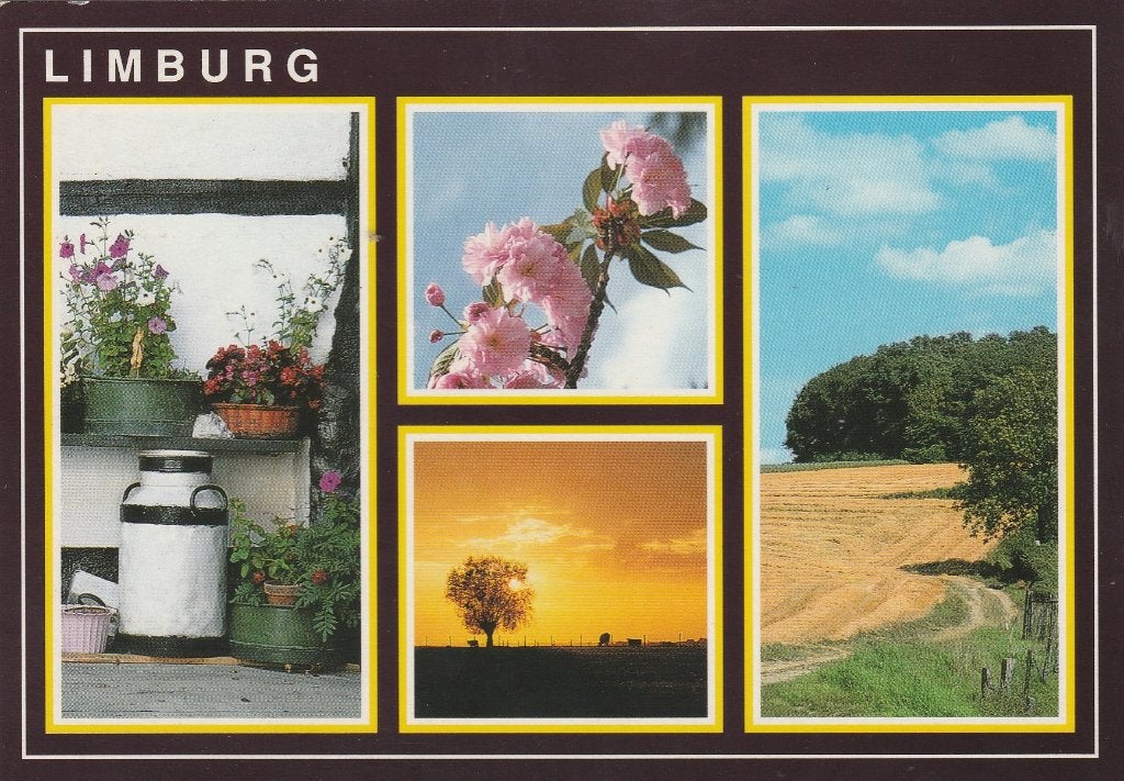 LIMBURG Melkbus Bloem  Akker, Verzenden, 1980 tot heden, Gelopen, Limburg