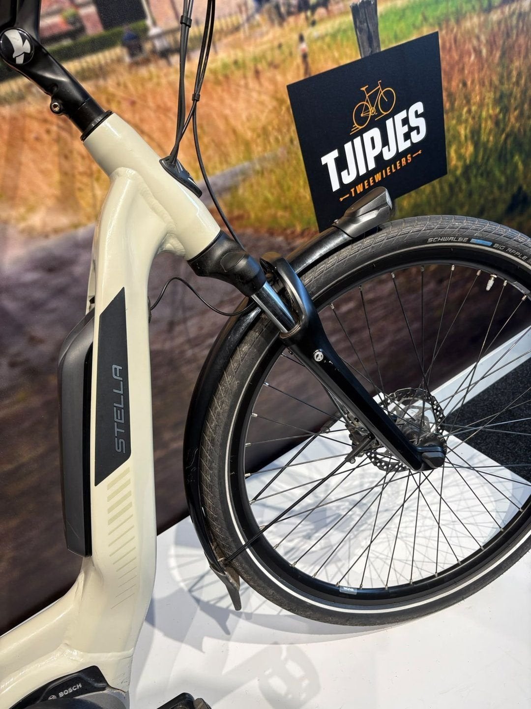 Stella Livorno E-bike | 53 cm | ACTIE €1.395, Gebruikt, -, -, 51 tot 55 cm