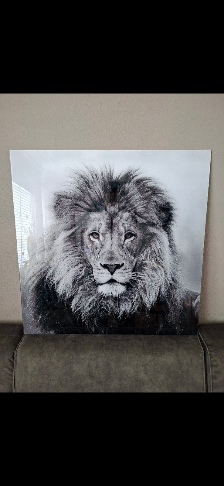 Countryfield Glasschilderij Leeuw en Olifant Wild life L -, Ophalen, Zo goed als nieuw, Schilderij, 75 tot 100 cm