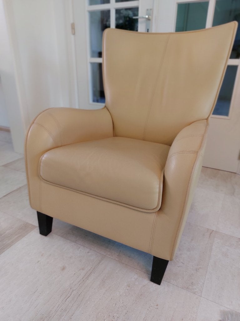 De Sede Fauteuil, Huis en Inrichting, Fauteuils, Zo goed als nieuw, Leer, 50 tot 75 cm, Minder dan 75 cm, Ophalen