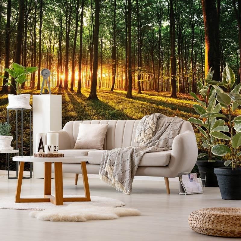 Fotobehang / Behang - Natuur - Zonsondergang - Bos Zonlicht, Overige patronen, Natuurlijk, Info@fotobehangkoning.nl, Fotobehang