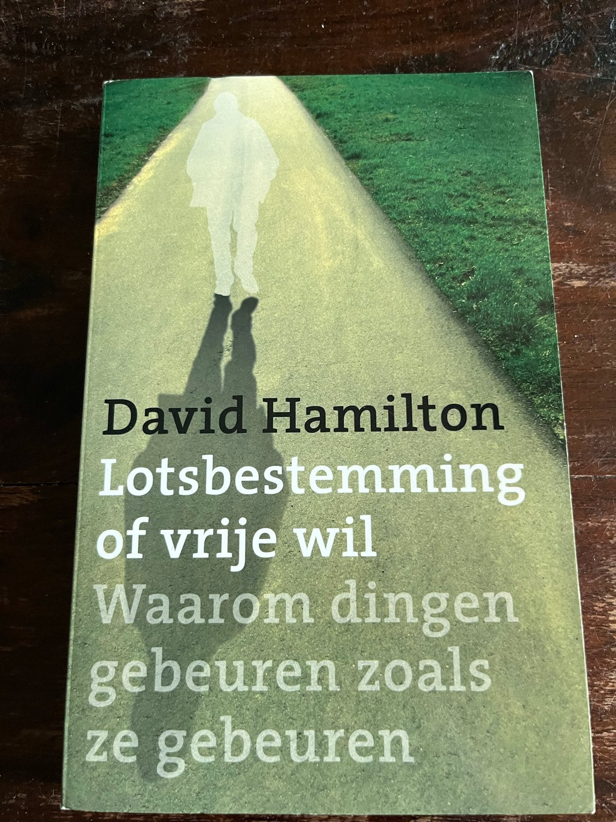Lotsbestemming of vrije wil - David Hamilton, Ophalen of Verzenden, Zo goed als nieuw, Spiritualiteit algemeen, Achtergrond en Informatie