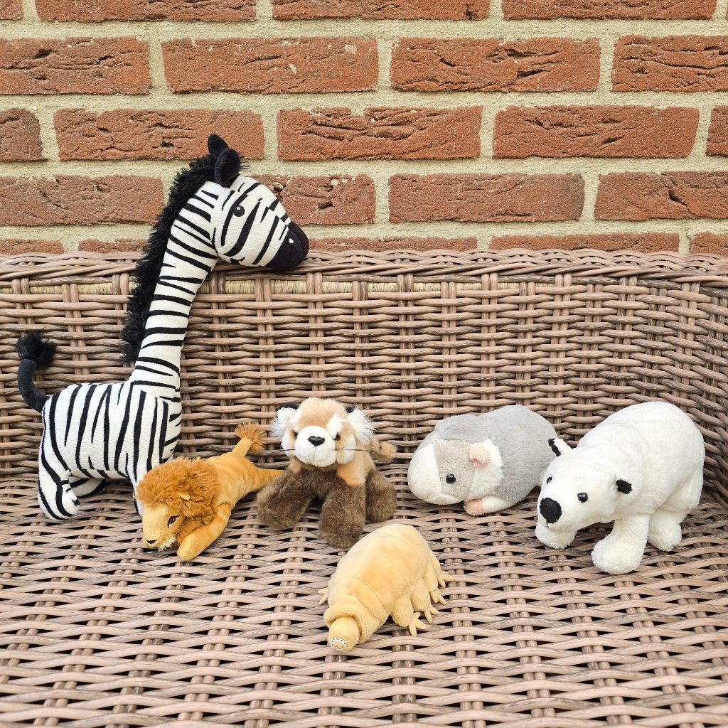 Dierendag tip!🦓  Knuffels - knuffeldieren - o.a. Artis, Ophalen of Verzenden, Zo goed als nieuw, Overige typen