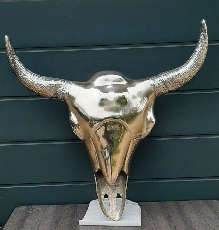 Prachtige Wanddecoratie Buffelschedel, Buffel Schedel, Huis en Inrichting, Woonaccessoires | Overige, Zo goed als nieuw, Metaal