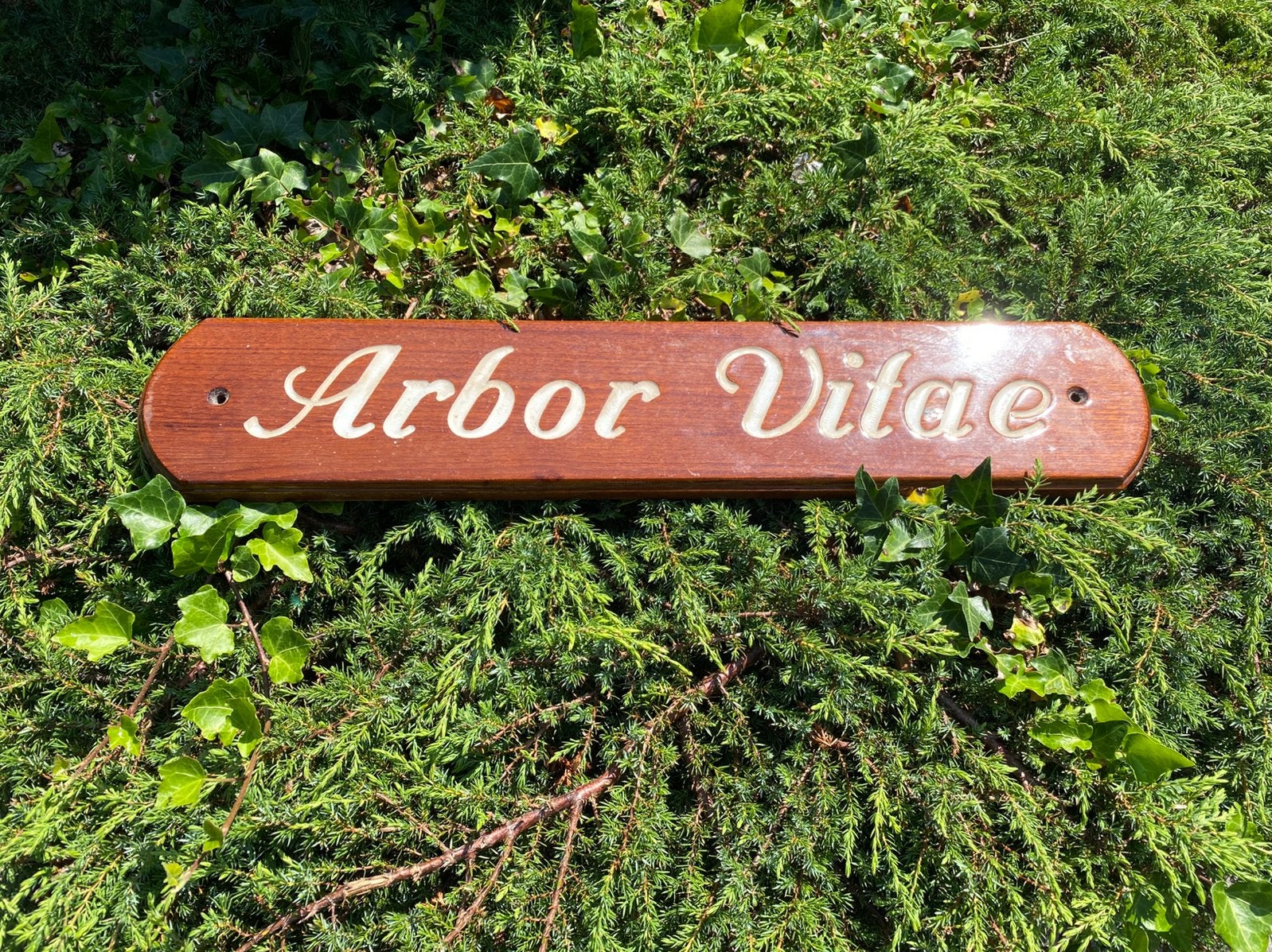 Grote zware houten plaquette voor tuinhuis of boot, Verzenden, Zo goed als nieuw