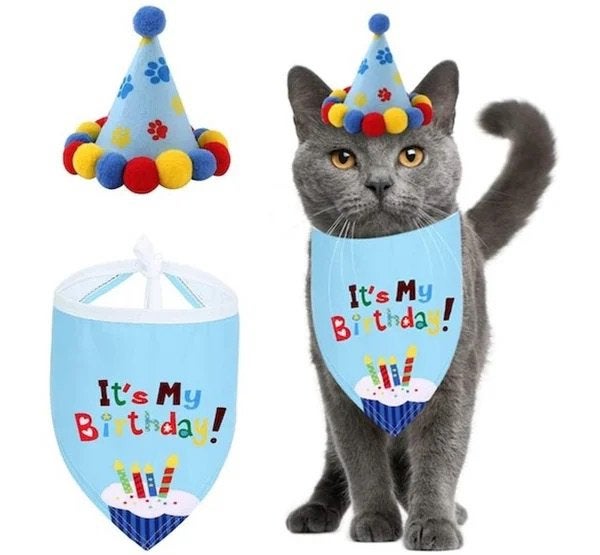 5-delige folue ballonbrn set Sweet Cat, Dieren en Toebehoren, Nieuw, Ophalen of Verzenden, Info@sweet-one.nl, Struikheide 64,3069lh,rotterdam