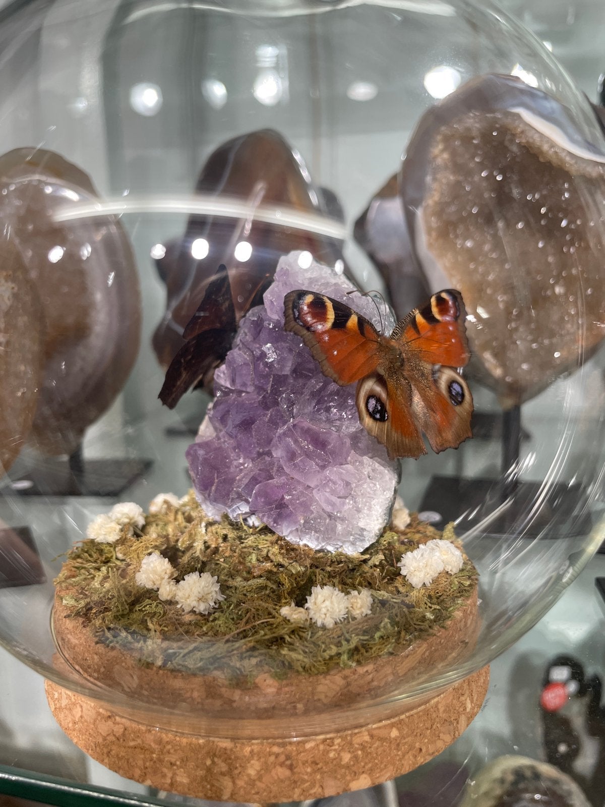 Amethist met vlinder in glazen bol, Verzamelen, Ophalen of Verzenden, Mineraal