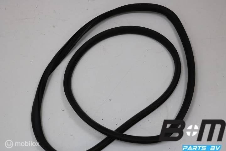 Portierrubber rechtsvoor Seat Ibiza 6L 5drs, Auto-onderdelen, Interieur en Bekleding, Gebruikt