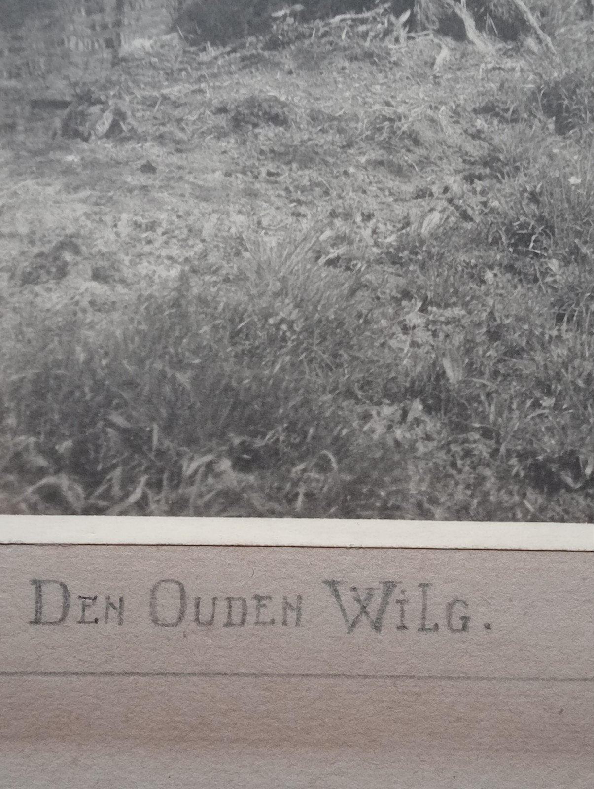 Piet Pijnenburg De Oude Wilg 1929, Ophalen of Verzenden
