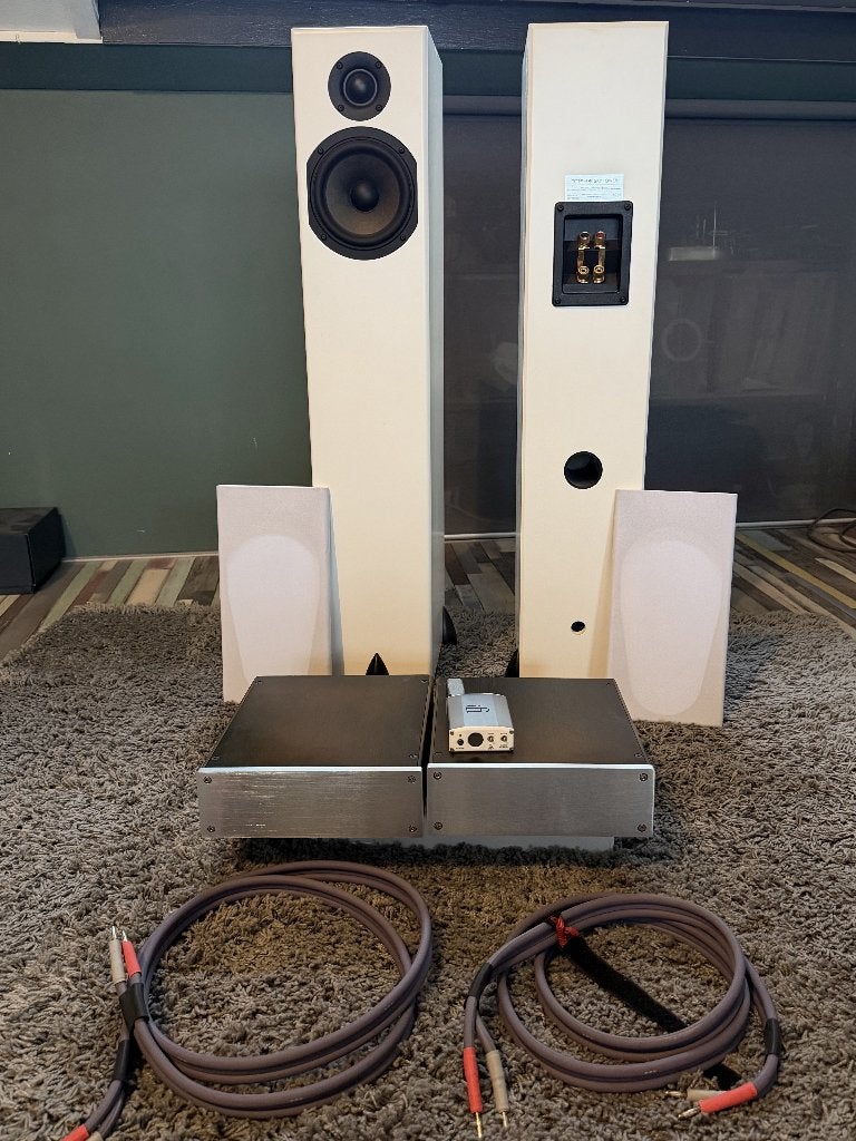 audio set: Totem Skytower, Hypex amps enz., Audio, Tv en Foto, Losse componenten, Zo goed als nieuw, Speakers, Ophalen