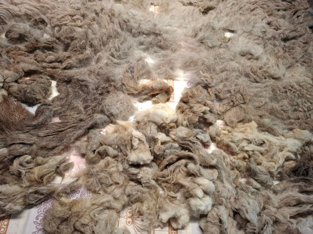 Ruwe wol van Herdwick schaap, Ophalen of Verzenden