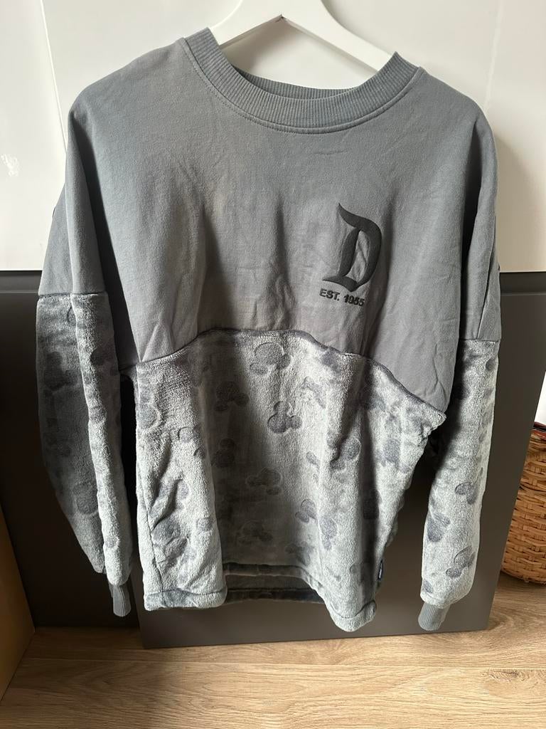 Disneyland Resort Spirit jersey - Grijs met Mickey Mouse, Ophalen of Verzenden, Zo goed als nieuw