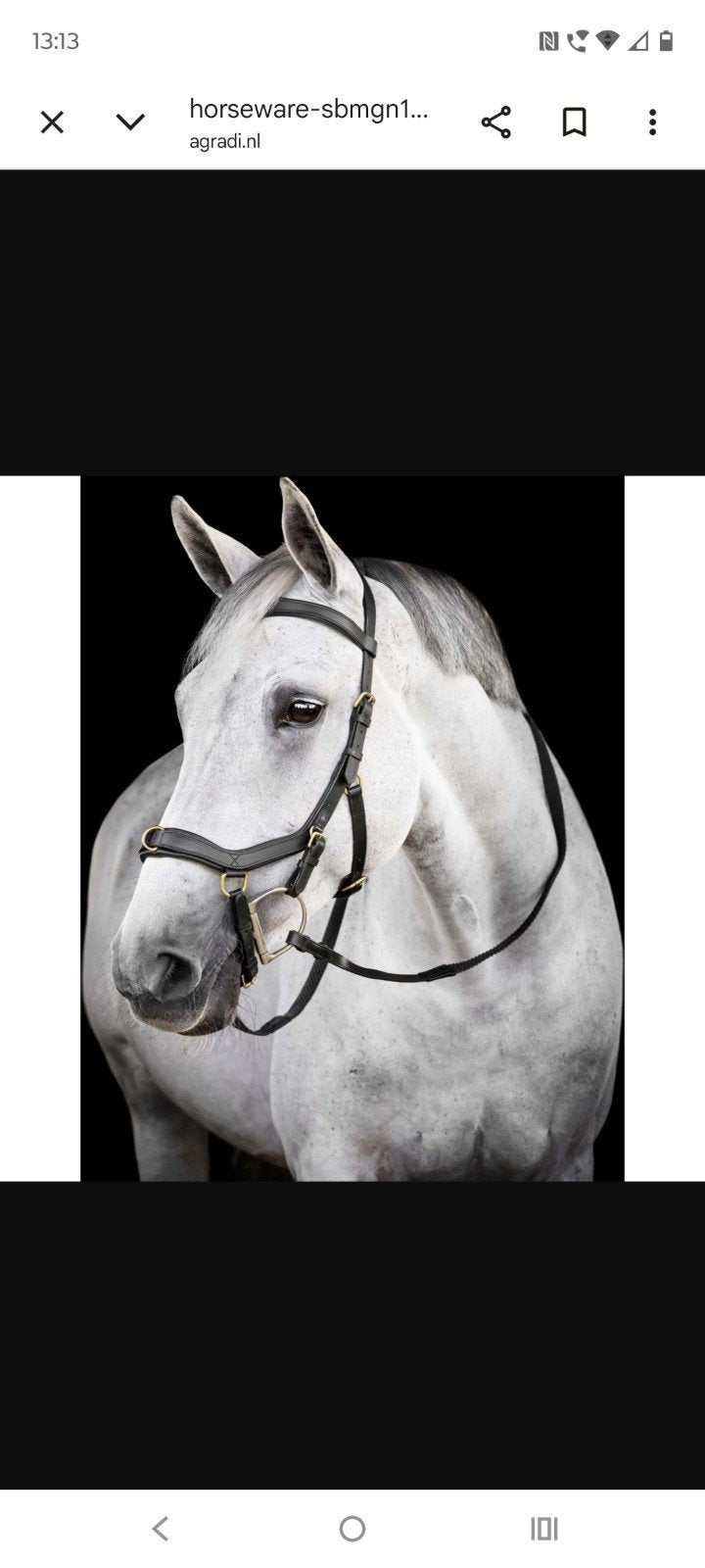 Rambo Micklem multi bridle zwart, maat Cob, Dieren en Toebehoren, Paarden en Pony's | Hoofdstellen en Tuigage, Rambo, Nieuw, Ophalen of Verzenden