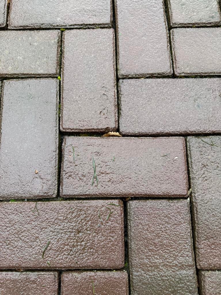 Gebakken klinkers 20x10x8 Zelf ophalen in Landgraaf ca 60m2, Ophalen, Gebruikt, Keramiek, Klinkers