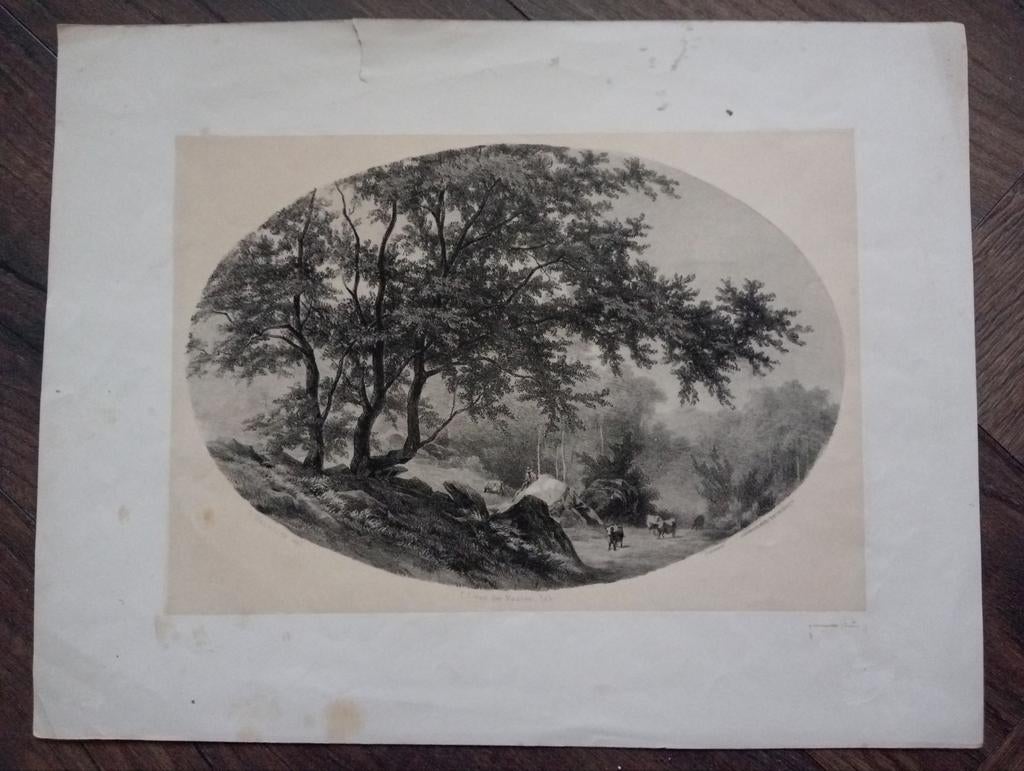 Louwrens Hanedoes prent collectie Kruseman, Ophalen of Verzenden