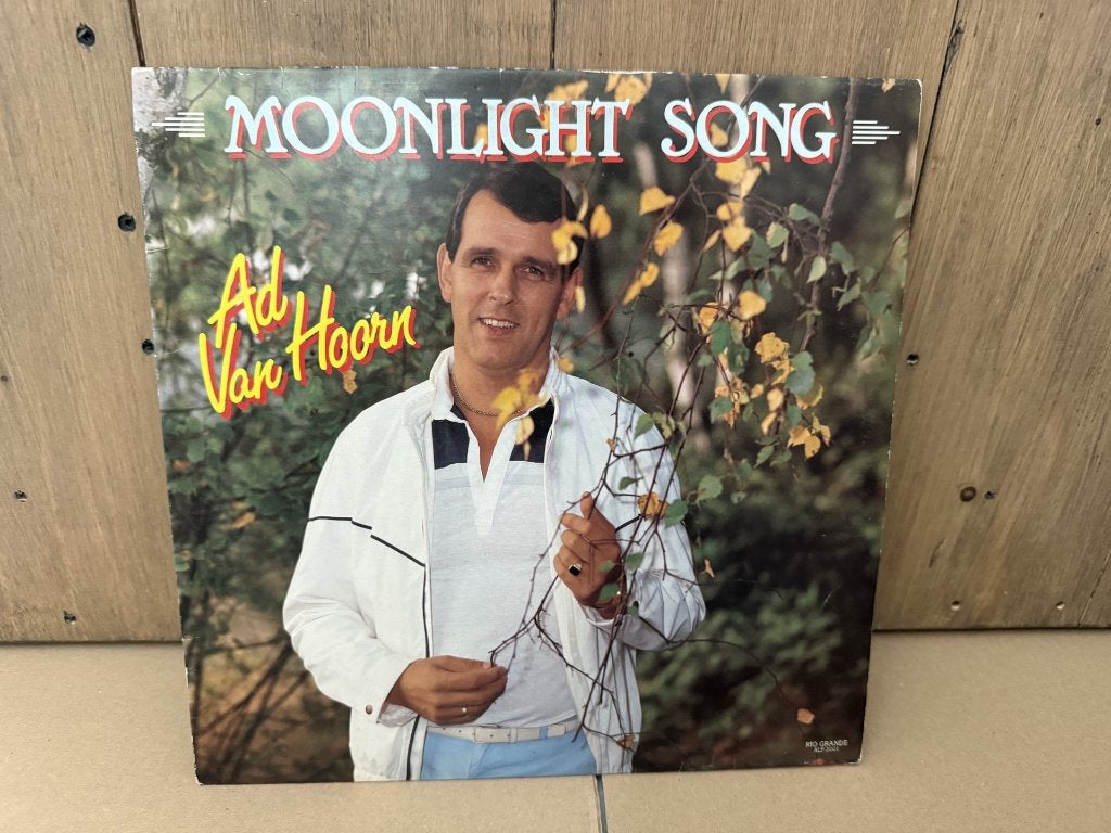 Lp Ad van Hoorn - Moonlight Song -oa In m'n DC 10 - topper, Cd's en Dvd's, Vinyl | Nederlandstalig, Gebruikt, Levenslied of Smartlap