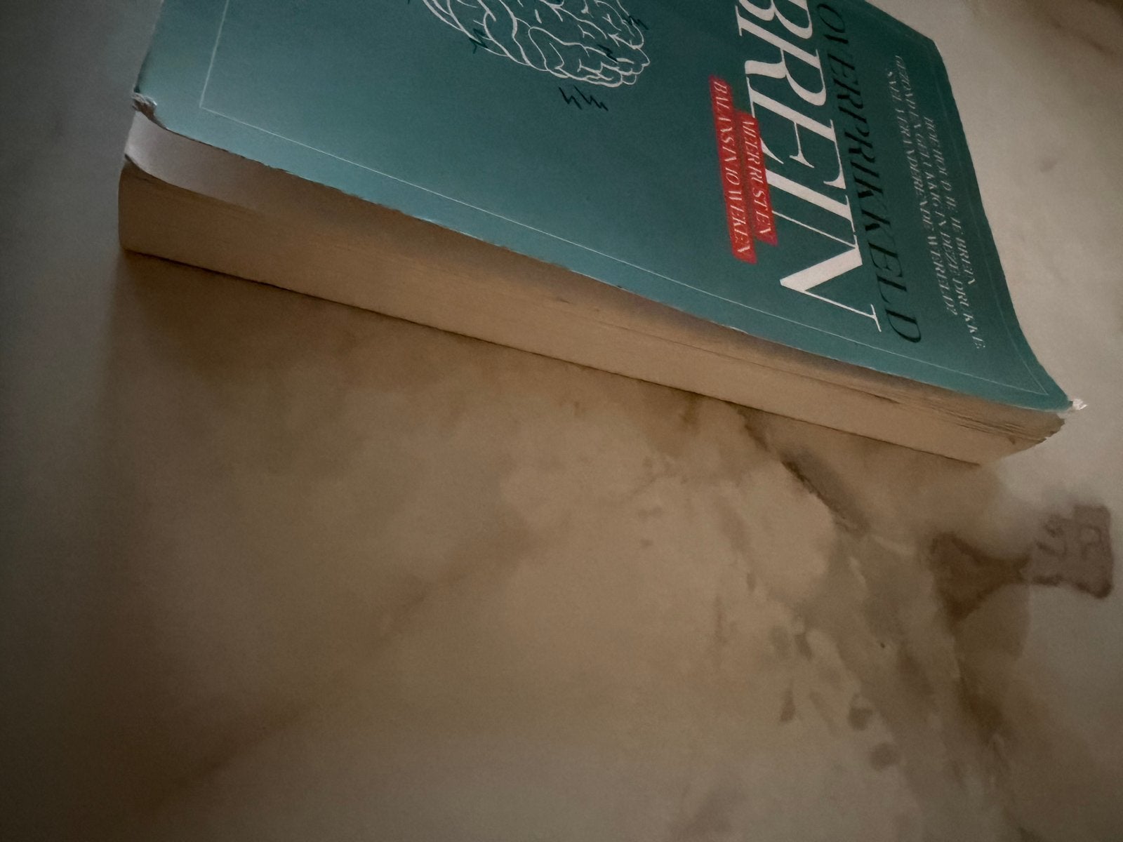 Overprikkeld Brein - Charlotte Labee, Ophalen of Verzenden, Gelezen, Gezondheid en Conditie