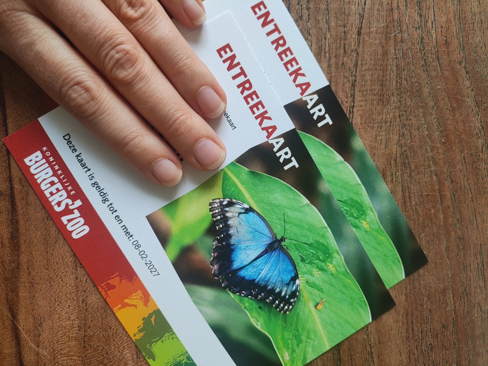 2x entreekaart volwassenen Burgers Zoo, Tickets en Kaartjes, Twee personen, Ticket of Toegangskaart
