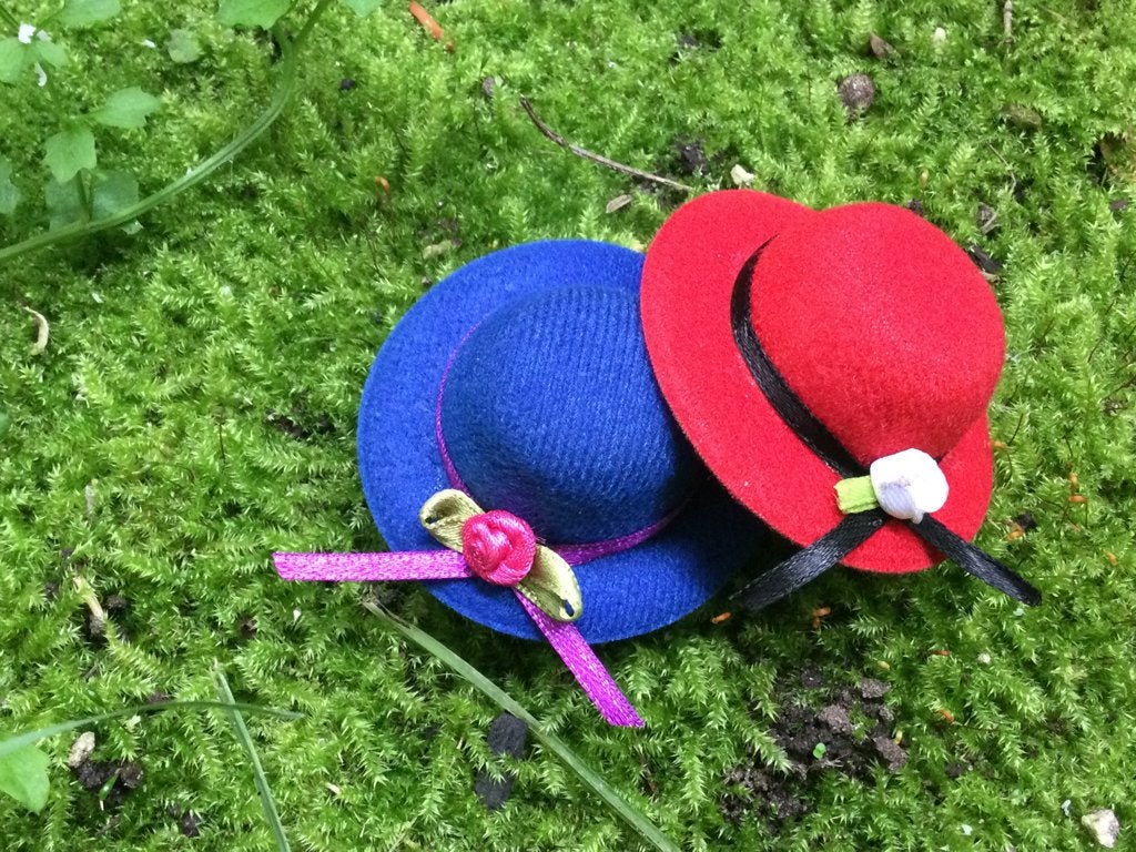 miniatuurhoedjes, Ophalen of Verzenden, Zo goed als nieuw, Poppenhuis