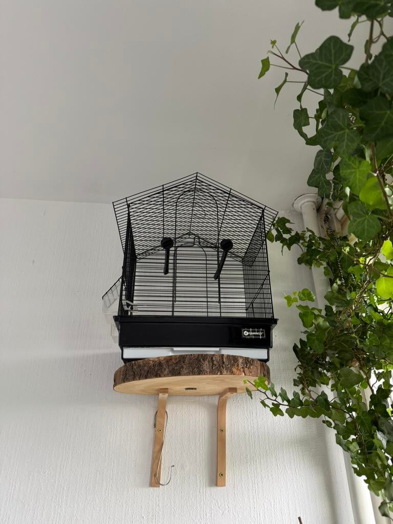 Te koop aangeboden volgens kooi, Ophalen of Verzenden, Zo goed als nieuw, Metaal, Vogelkooi
