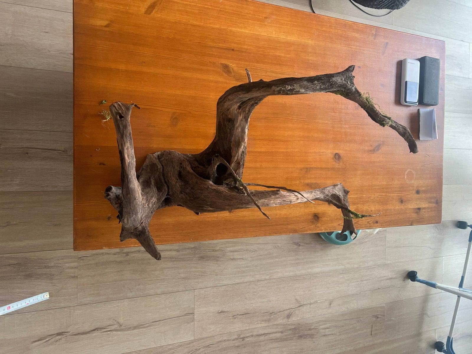 Acquarium wood, Ophalen, Zo goed als nieuw, Plant(en), Steen of Hout